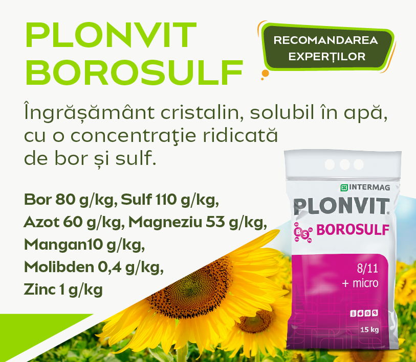 Plonvit Borosulf Plonvit Borosulf